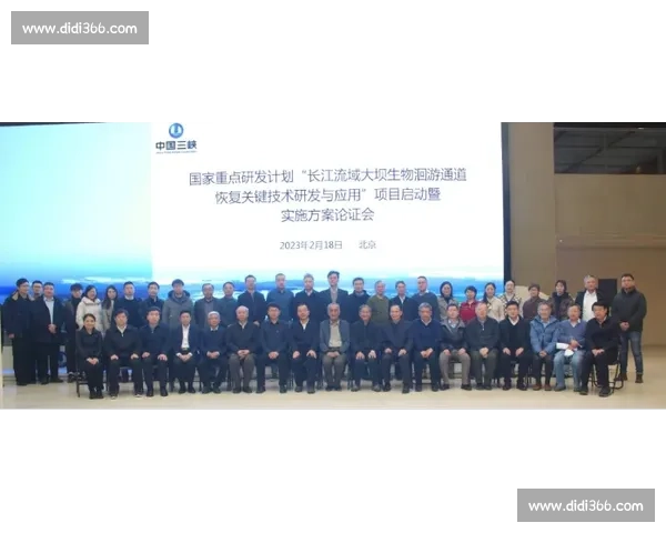 体育团队协作与执行力提升策略的系统研究与实践